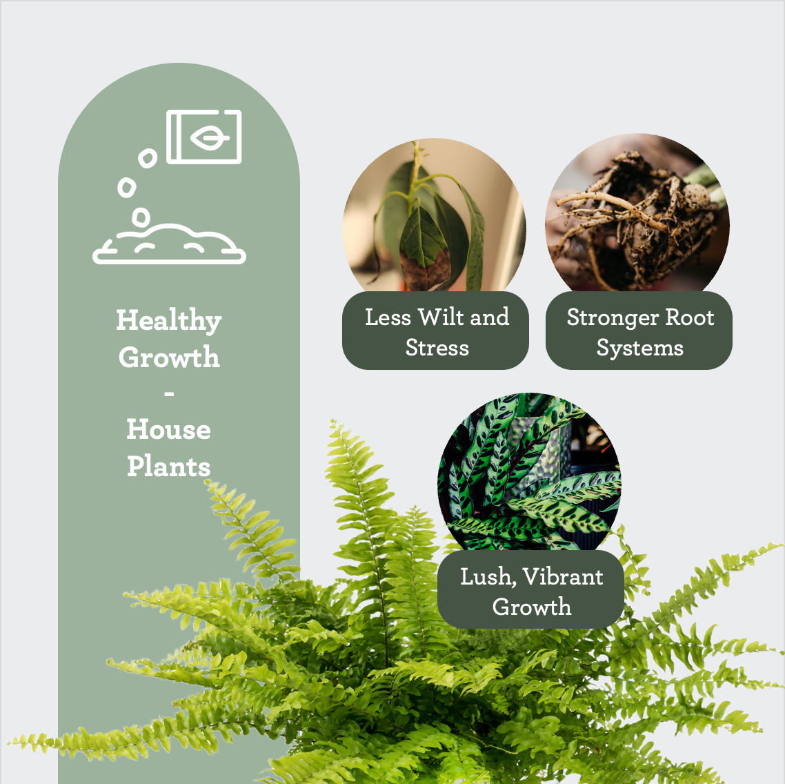 Generosa Soil Booster Organic Fertilizer - Natural Soil Enhancer for Healthy Plants | 1000ml Insect Humus