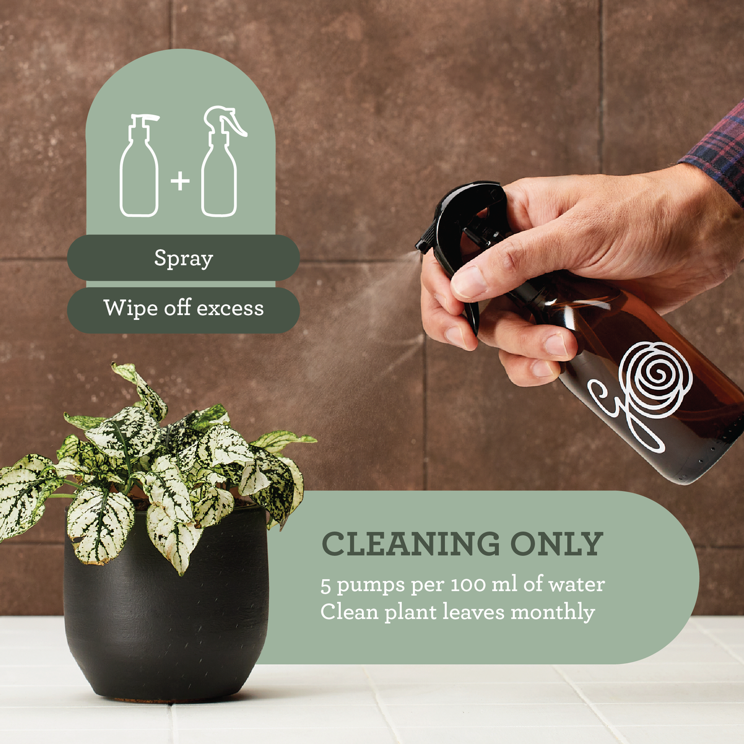 Generosa Plant Spa Gift Set Christmas Edition - Plant Protection and Cleaning | Neem oil 50ml and Plant Soap 200ml Kit | Combating Plant Pests | Eco-friendly Gift | Gift for Plant Lovers | Christmas gift