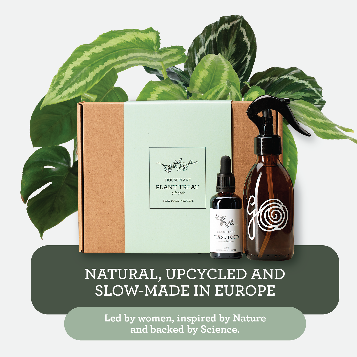 Generosa Plant Treat Gift Set – Plant Nourishment | Natural Liquid Fertiliser 50ml and Glass Spray Bottle | Nutrients for Houseplants | Gift for Plant Lovers, Gift Ideas, Eco-friendly Gift