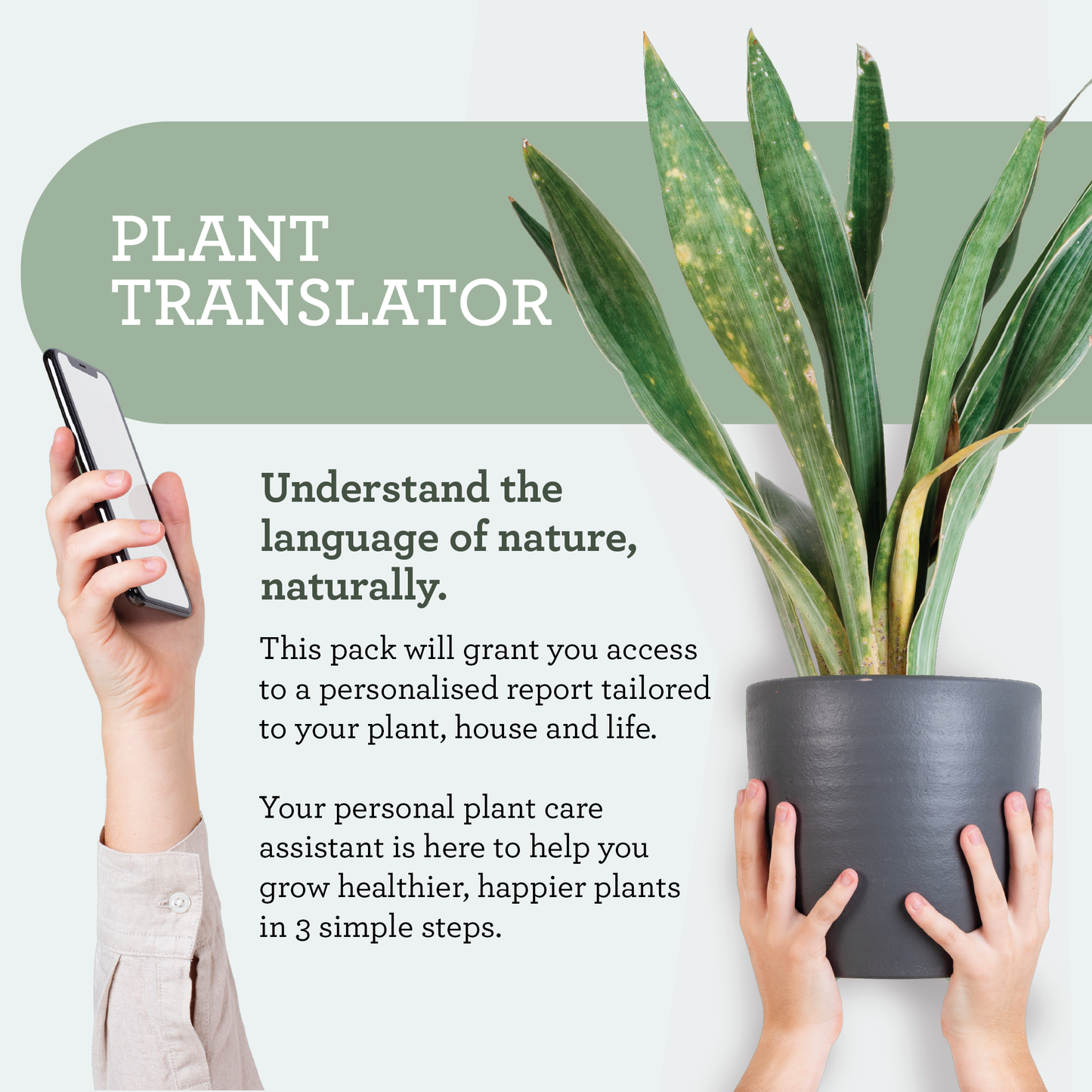 Generosa Plant Treat Gift Set – Plant Nourishment | Natural Liquid Fertiliser 50ml and Glass Spray Bottle | Nutrients for Houseplants | Gift for Plant Lovers, Gift Ideas, Eco-friendly Gift