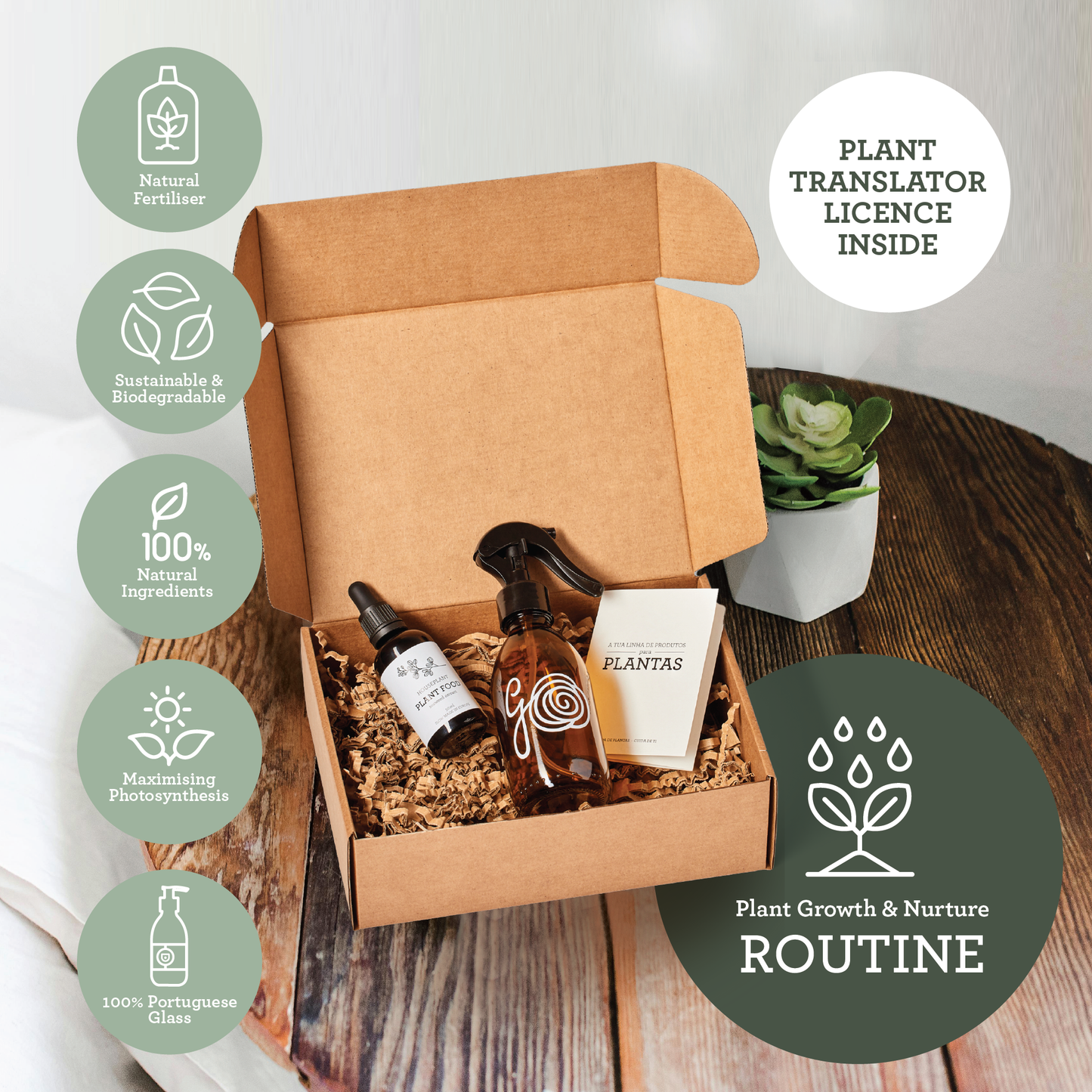 Generosa Plant Treat Gift Set – Plant Nourishment | Natural Liquid Fertiliser 50ml and Glass Spray Bottle | Nutrients for Houseplants | Gift for Plant Lovers, Gift Ideas, Eco-friendly Gift