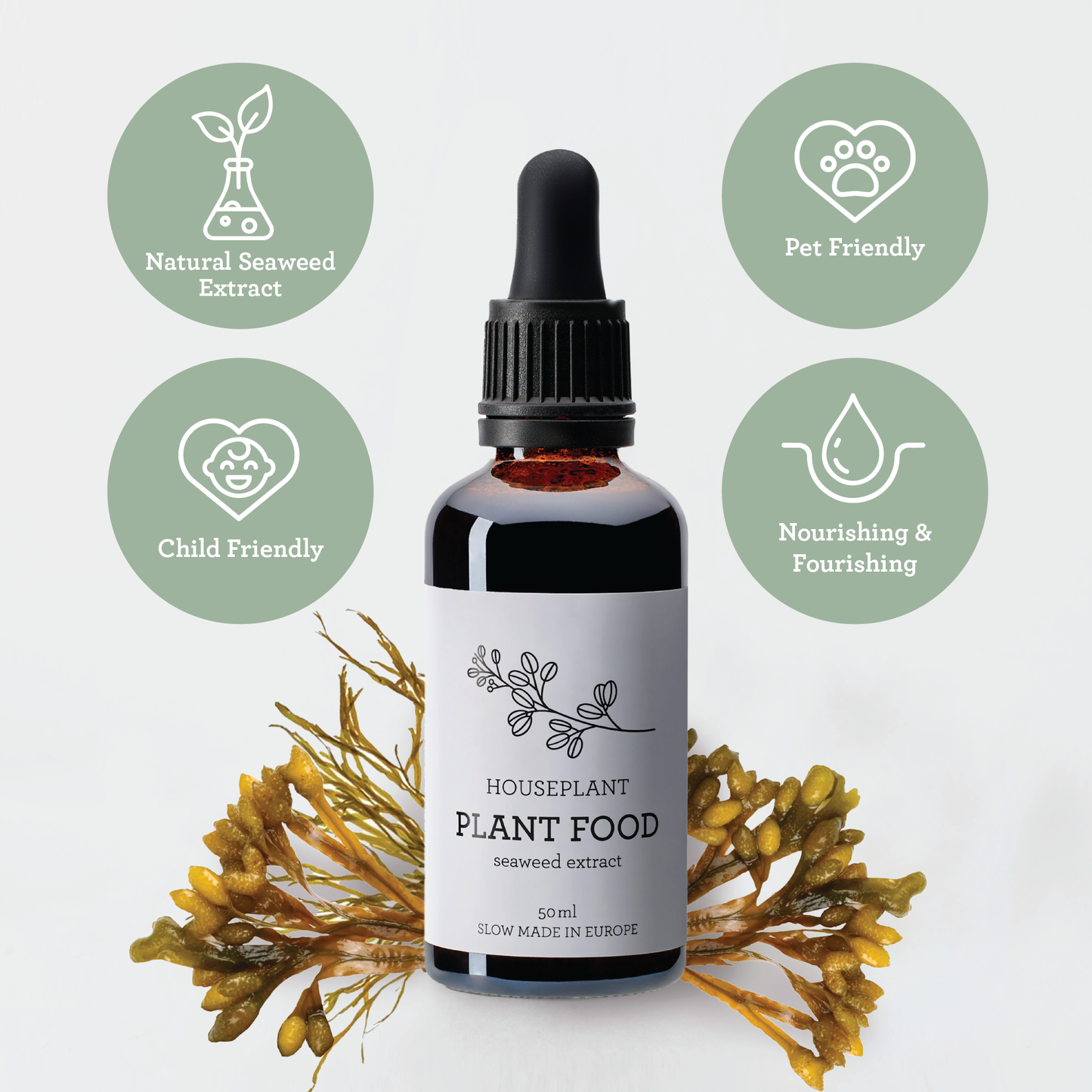 Generosa Plant Treat Gift Set – Plant Nourishment | Natural Liquid Fertiliser 50ml and Glass Spray Bottle | Nutrients for Houseplants | Gift for Plant Lovers, Gift Ideas, Eco-friendly Gift