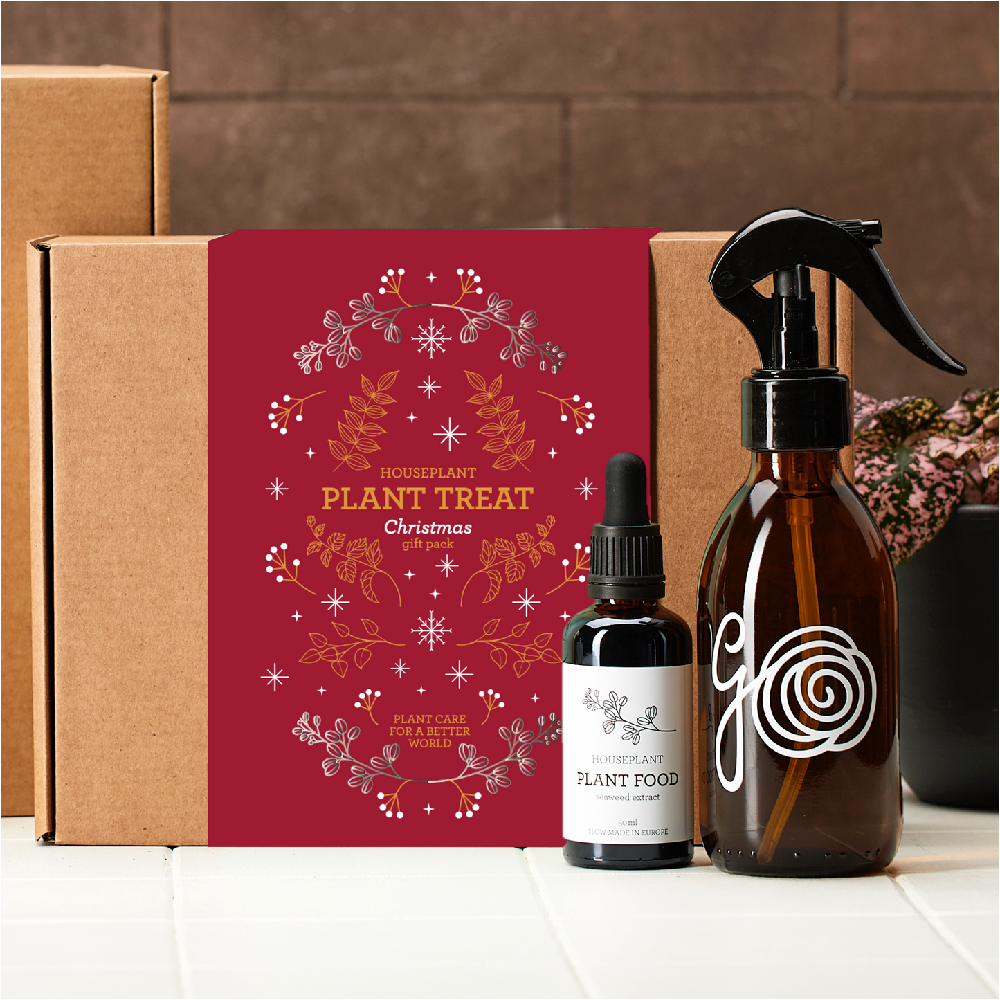 Generosa Plant Treat Gift Set Christmas Edition – Plant Nourishment | Natural Liquid Fertiliser 50ml and Glass Spray Bottle | Nutrients for Houseplants | Gift for Plant Lovers | Christmas Gift Gift Ideas, Eco-friendly Gift