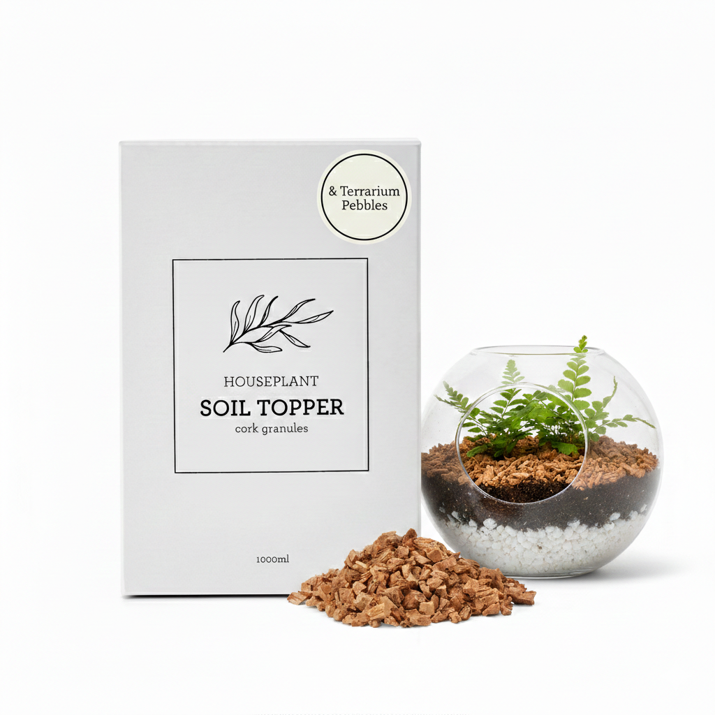 indoor plant soil topper Generosa Soil Topper & Terrarium Pebbles