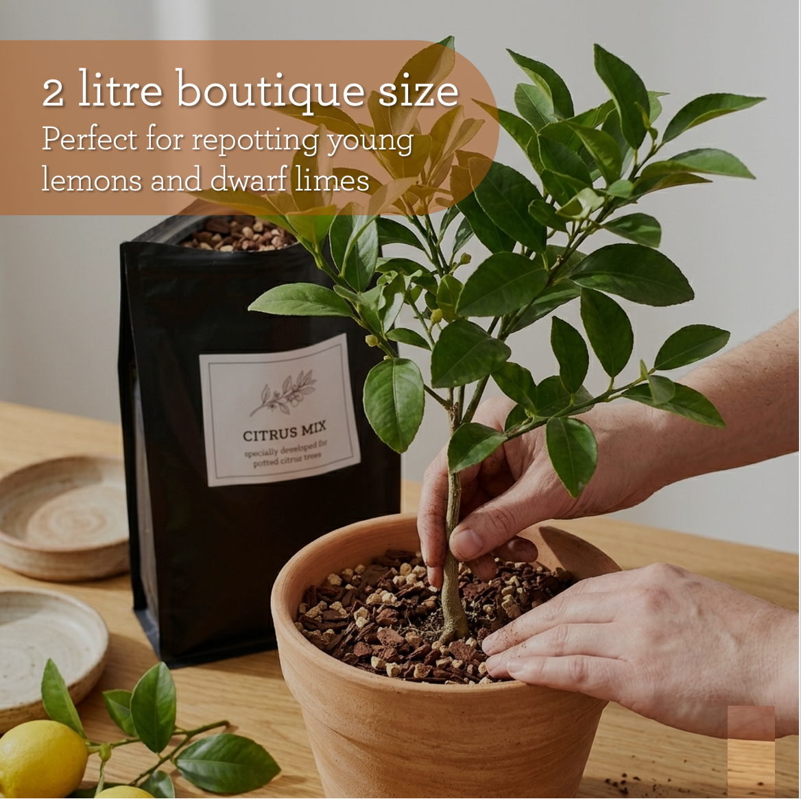 Generosa Citrus Mix - Premium peat-free mix for potted citrus trees | 2 litres
