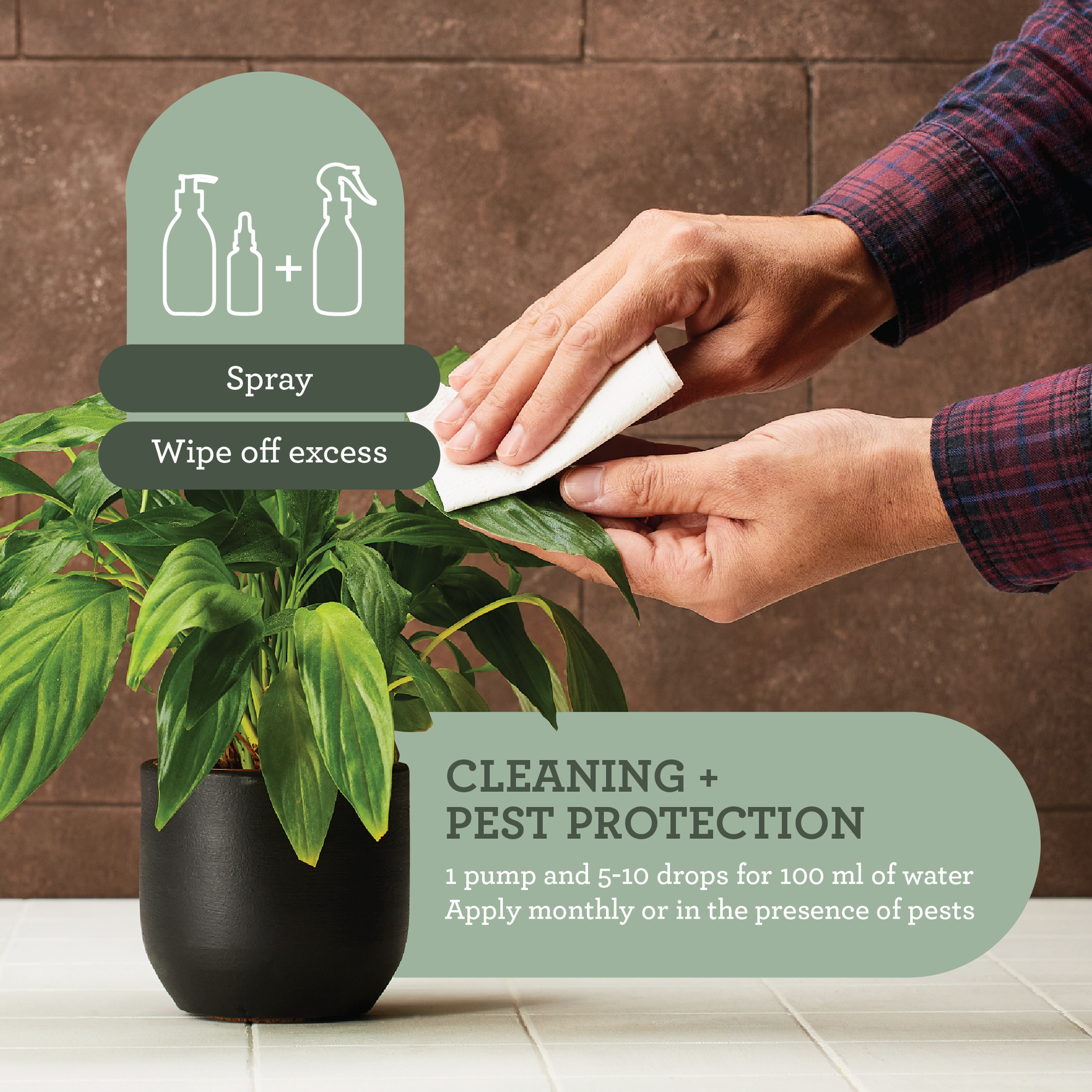 indoor plant protectors Generosa Plant Spa Gift Set - Plant Protection and Cleaning