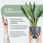 Generosa Plant Treat Gift Set – Nutrición para plantas | Fertilizante líquido natural de 50 ml y botella de vidrio con pulverizador | Nutrientes para plantas de interior | Regalo para amantes de las plantas, ideas para regalos, regalo ecológico