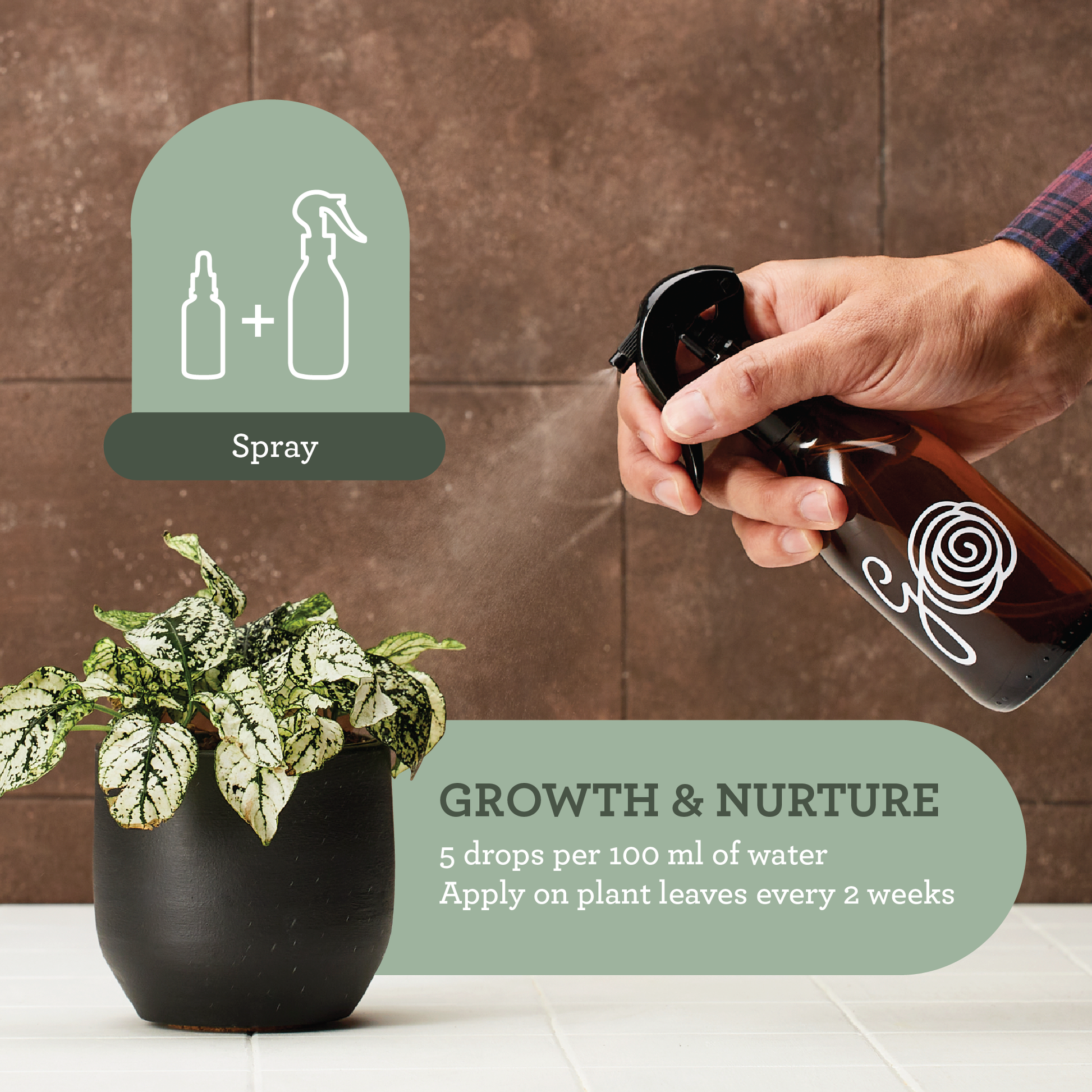 plant fertilizer drops Generosa Natural Liquid Fertiliser Plant Food - Fertiliser for Indoor Plants made from 100% Seaweed Extract | Fertiliser for Green Plants