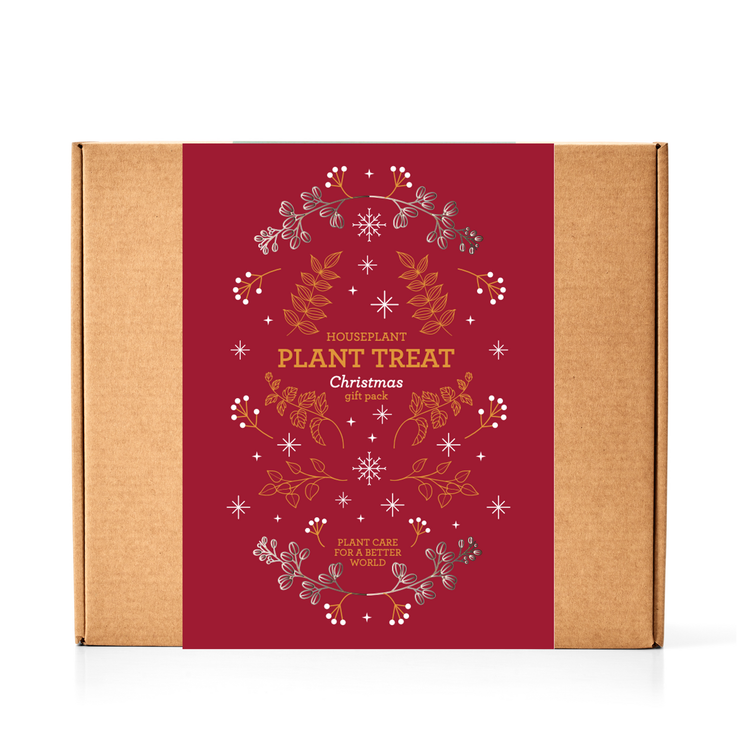 PLANT NURTURE KIT | Christmas Edition