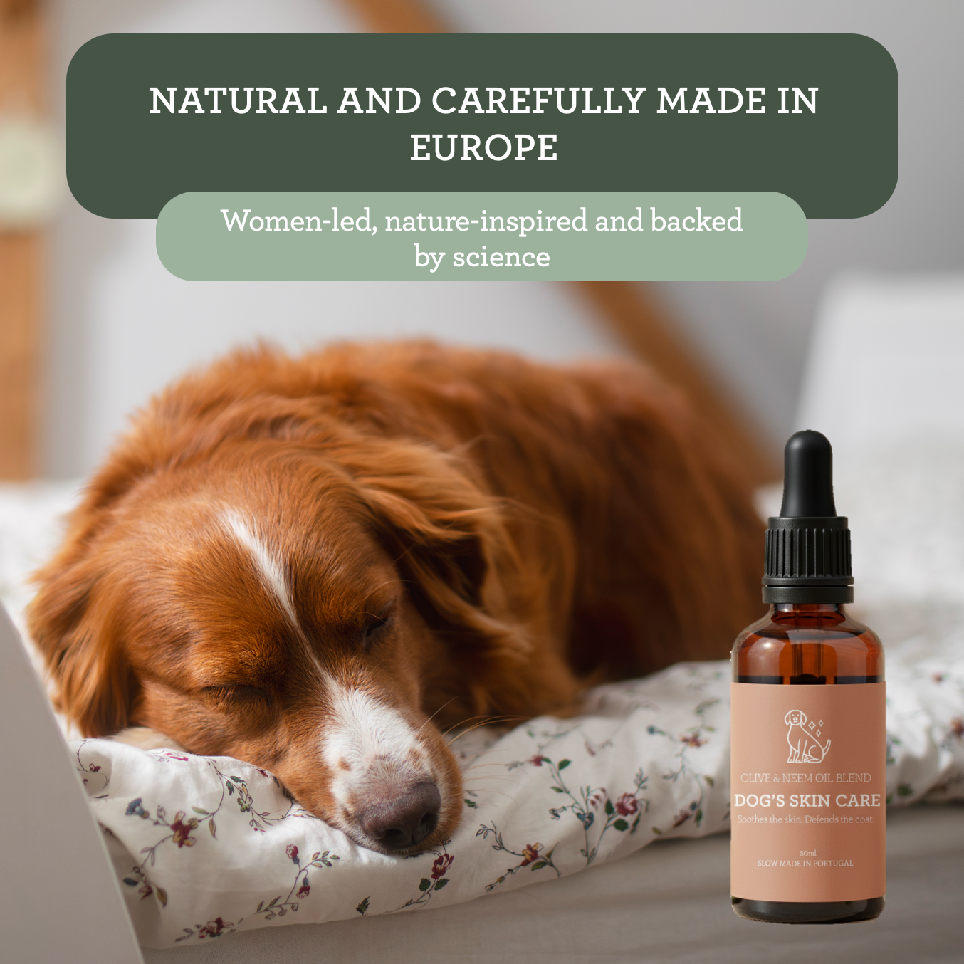 Generosa Dog’s Skin Care – Olive & Neem Oil Blend 50 ml | Soothes the skin. Defends the coat