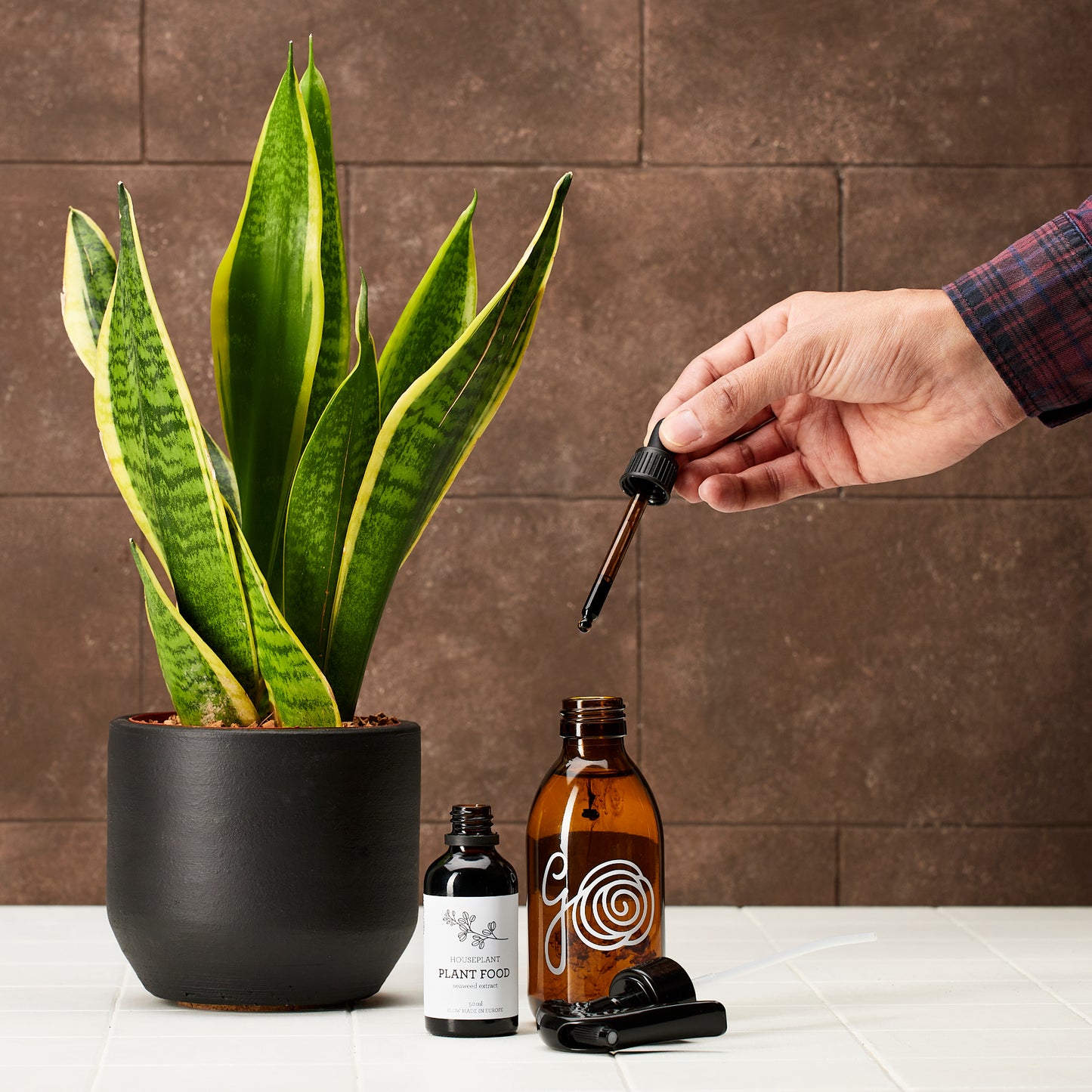 Generosa Natürlicher Flüssigdünger Pflanzennahrung - Dünger für Zimmerpflanzen aus 100% Meeresalgenextrakt | Dünger für Grünpflanzen | 50ml Glasflasche mit Pipette