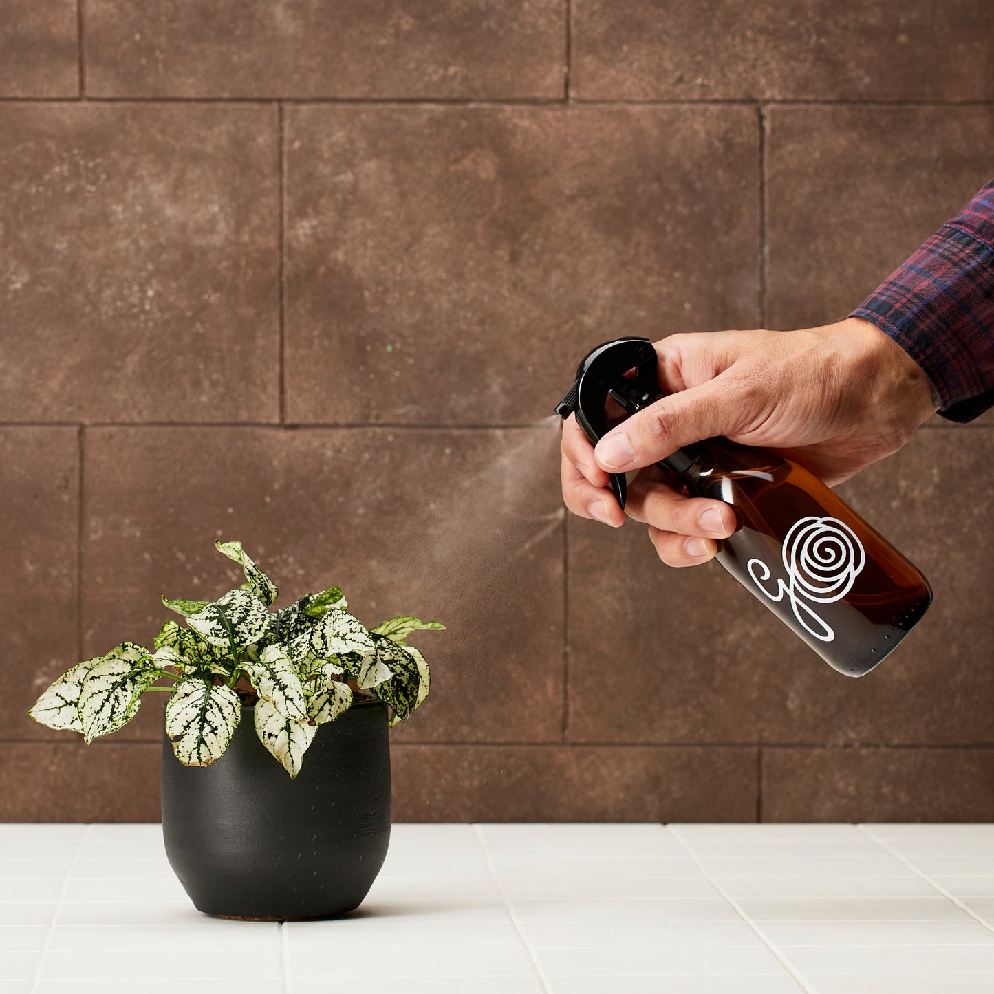 HOUSE PLANT MISTER | Botella de vidrio