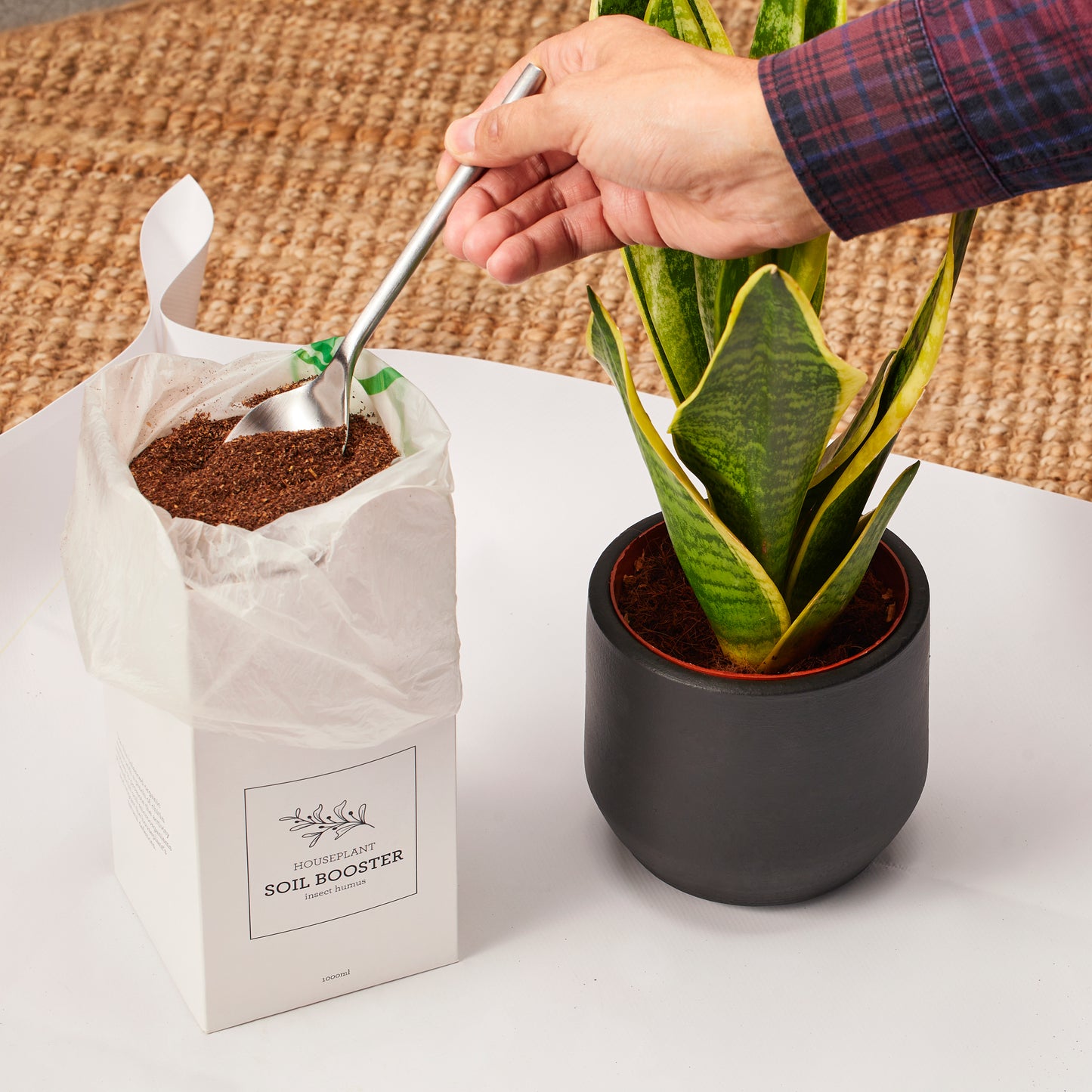 HOUSE PLANT SOIL BOOSTER | Humus de insectos