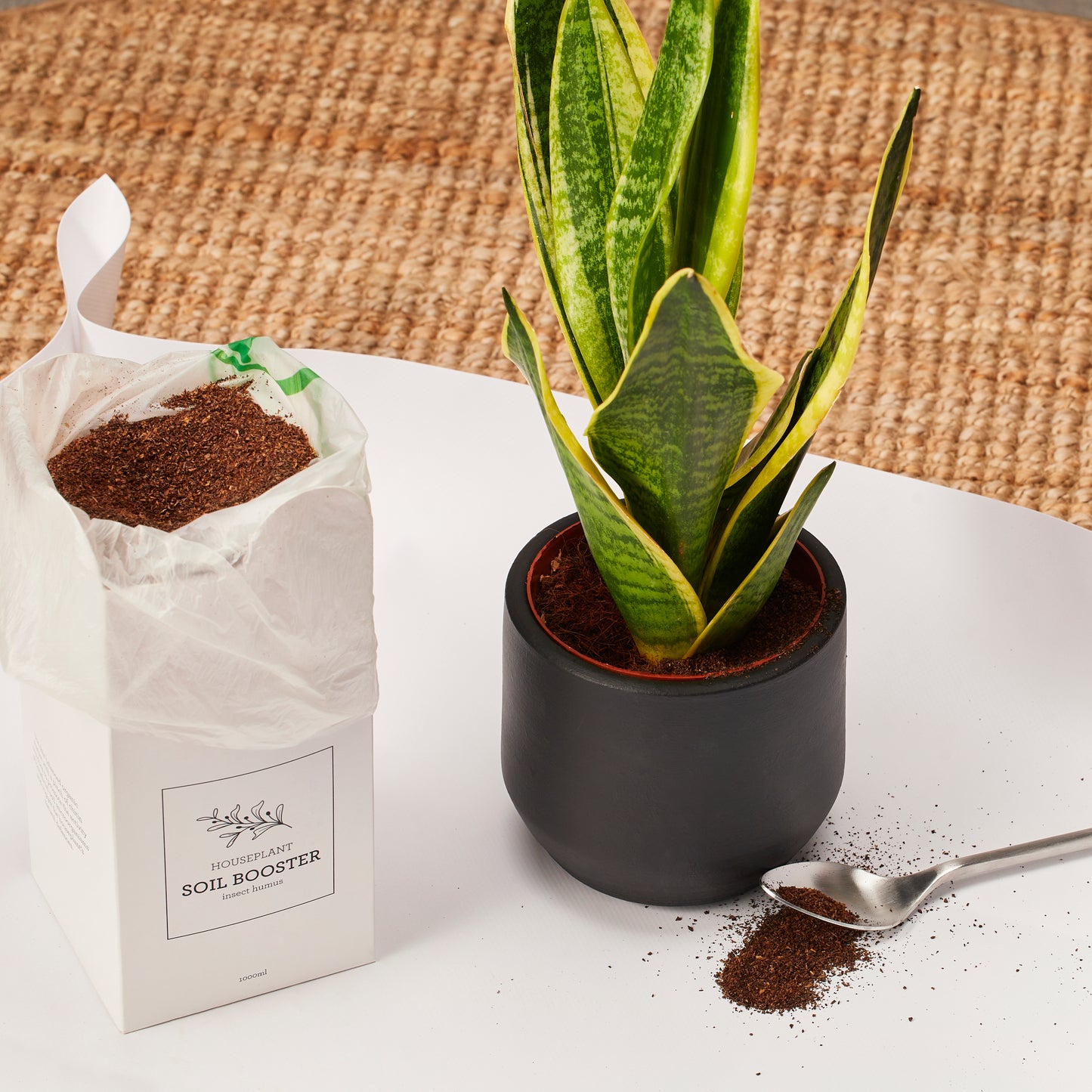 HOUSE PLANT SOIL BOOSTER | Humus de insectos